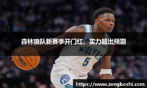 森林狼队新赛季开门红，实力超出预期